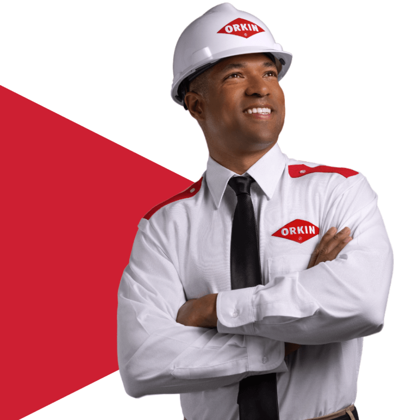 Só ficamos felizes, se você estiver feliz.