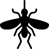Mosquitos