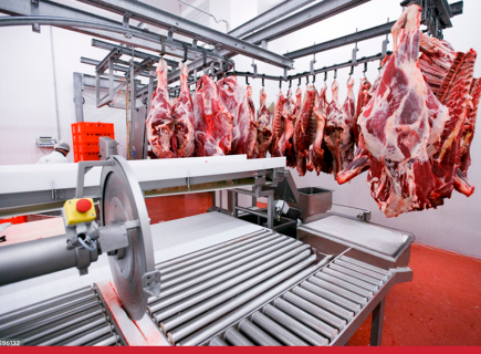 Por que o controle de pragas é indispensável em frigoríficos?