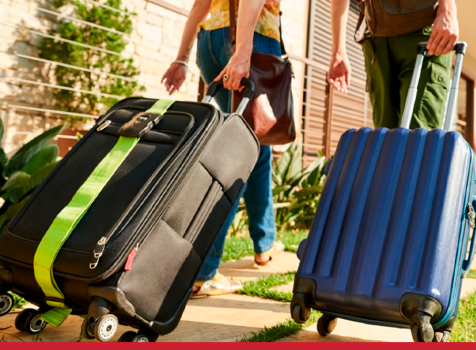 Controle de pragas para pousadas: cuidar do ambiente é cuidar da experiência do cliente