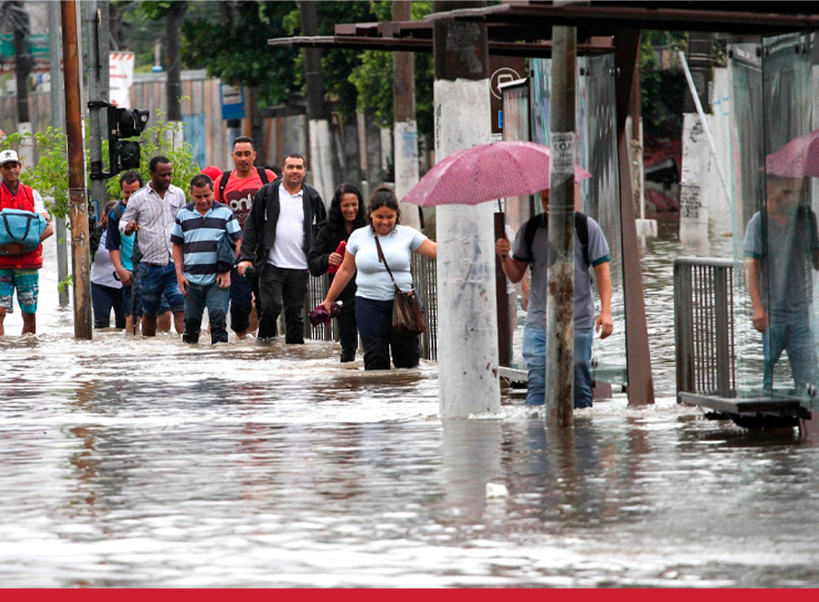 Os Perigos da Leptospirose  em meio à enchentes