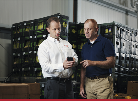 Controle de pragas para empresas: soluções personalizadas com a Orkin