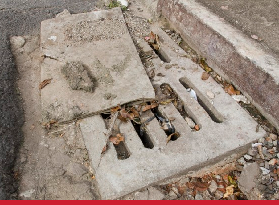 Fossa infestada de baratas? Veja como resolver essa situação!