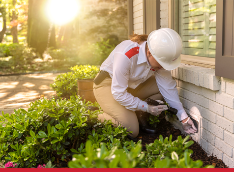Orkin: compromisso ambiental e eficiência no controle de pragas
