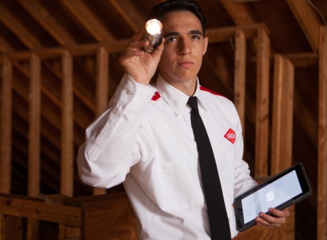 AIM - Programa de Controle Integrado de Pragas