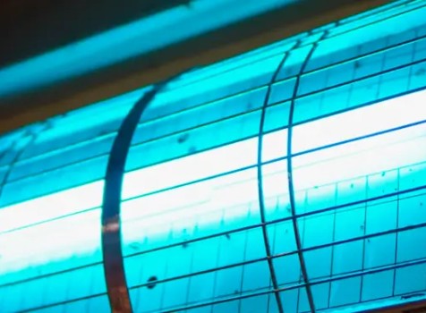 Armadilha Luminosa LED